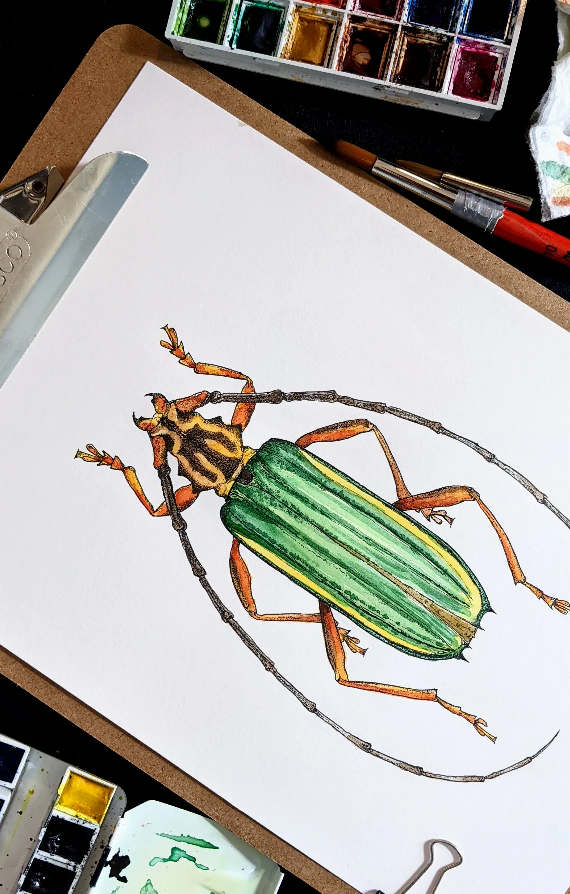 Green longhorn beetle aquarelle