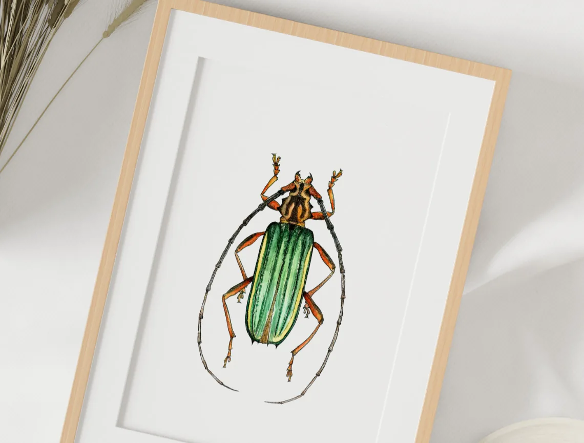 Green longhorn beetle aquarelle